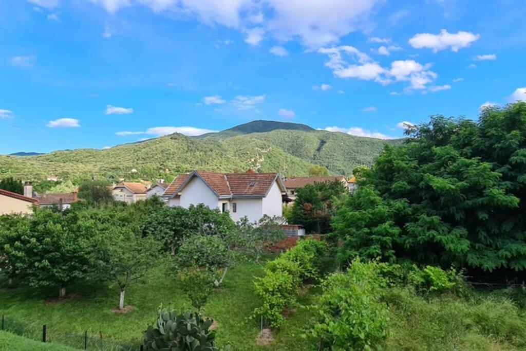 Amélie-les-Bains-Palalda Résidence Las Hortes Extérieur photo
